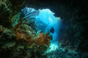 Plongée sous-marine en Nouvelle-Calédonie
